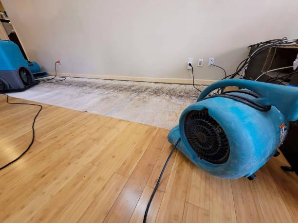 Professional Flood Damage Cleanup technician working in Lake Hopatcong, NJ